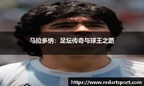 球速体育平台登录入口
