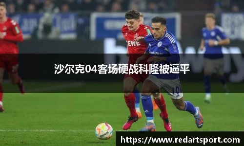 球速体育平台登录入口
