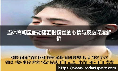 球速体育平台登录入口