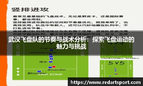球速体育官方