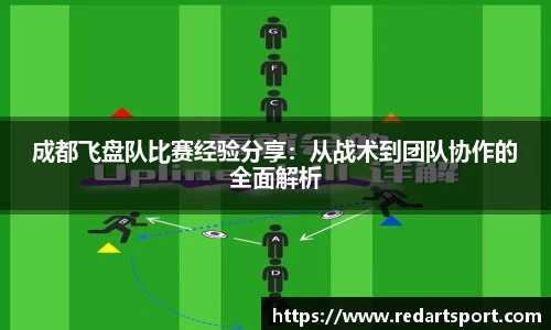 成都飞盘队比赛经验分享：从战术到团队协作的全面解析