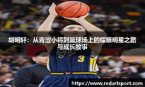 球速体育平台登录入口