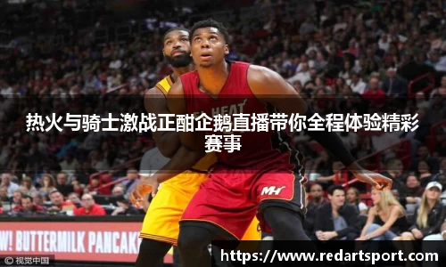 球速体育平台登录入口